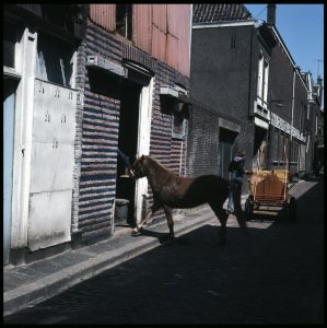 Paardenstal, Lepelstraat, 1975