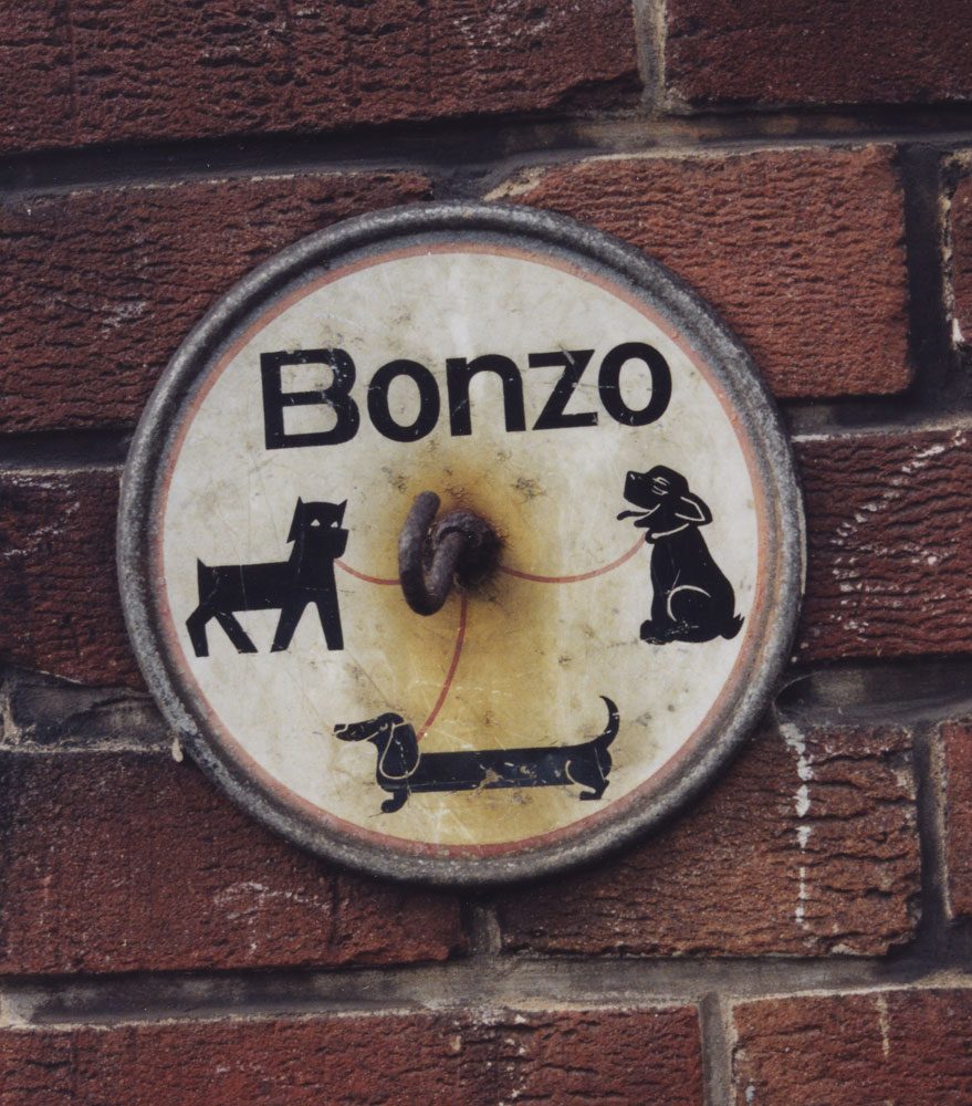 Bonzo, hondenbrood, 1e van der Kunstraat, jaren 50