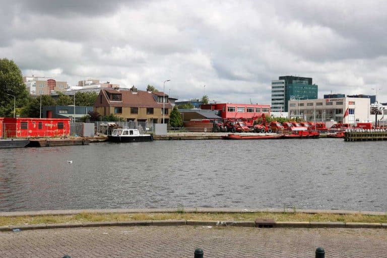 Meeuwisse, Binckhorst, Poolsterstraat, 2017