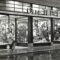 Gebr. Teepe, Boekhorststraat 19, 1952.