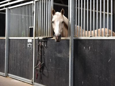 Paardenstal, Lepelstraat, ca. 2000